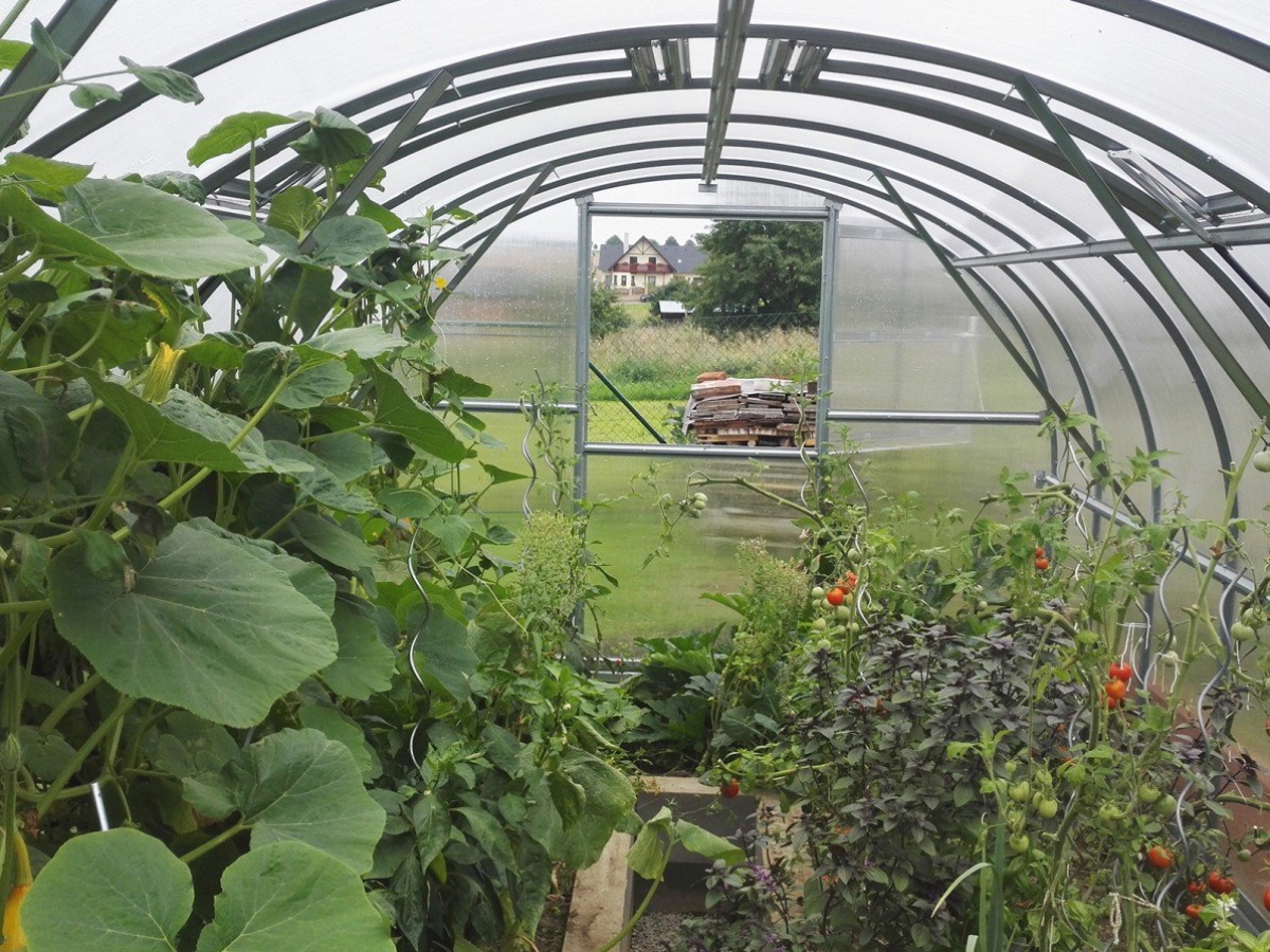 Zahradní skleník z polykarbonátu Gutta Gardentec Classic