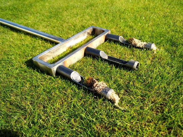 Kompletní průvodce zazimováním zahrady