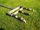 Teljes útmutató a kert téliesítéséhez