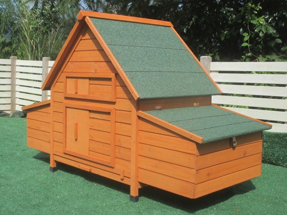 Tyúkól Scobax Clover