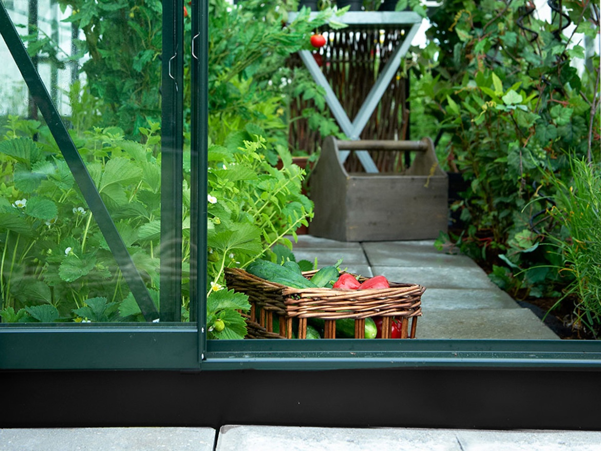 Üvegház Halls Popular