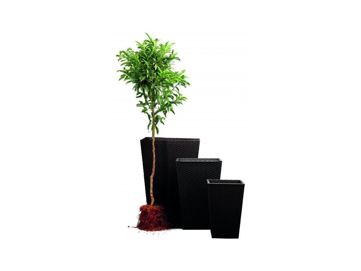 Keter Květináč Rattan Planter M - hnědý