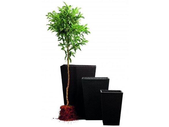 Keter Květináč Rattan Planter M - hnědý