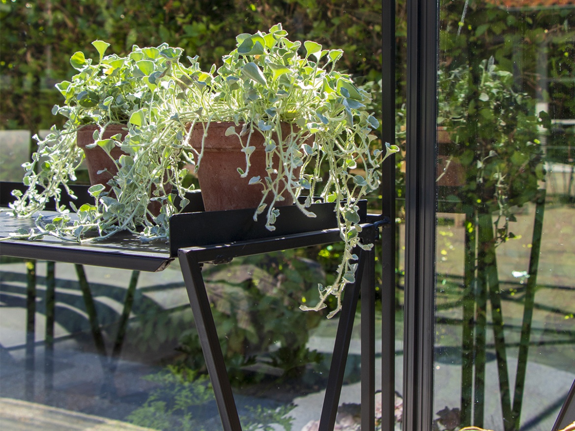 Pavilon / Narancsház Juliana Grand Oase