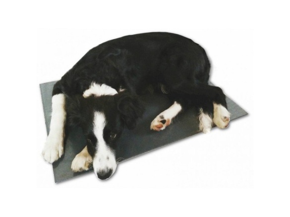 Scobax THERMODOG výhřevná deska pro psy, podlážka 40x60 cm, 12 V/20W, PVC, nap. z autozástrčky i sítě 230 V