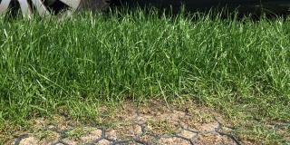 Ako vybrať zatrávňovaciu dlažbu?