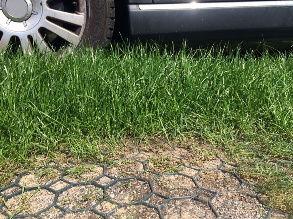 Ako vybrať zatrávňovaciu dlažbu?