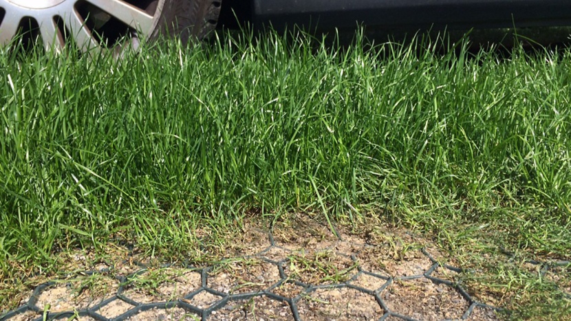 Választás és telepítés: fűburkolat