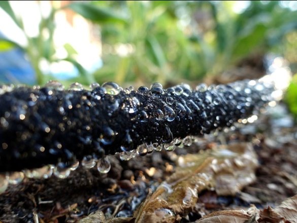 Zavlažovací hadice Bradas Aqua-Drop