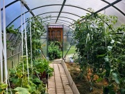 Skleník Scobax Econom