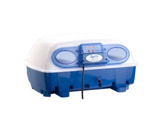 Baromfi –  Scobax Líheň na vejce BOROTTO REAL 24