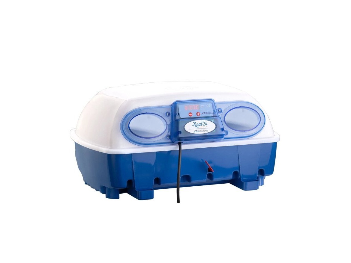 Scobax Líheň na vejce BOROTTO REAL 24