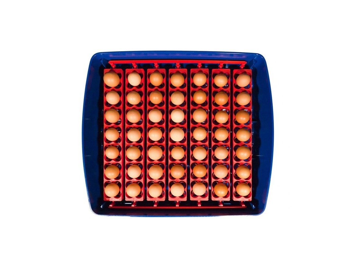 Scobax Líheň na vejce BOROTTO REAL 49