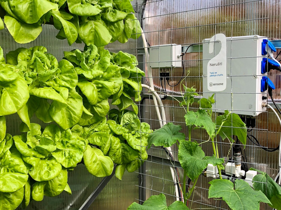 Hydroponické rameno Sensorie