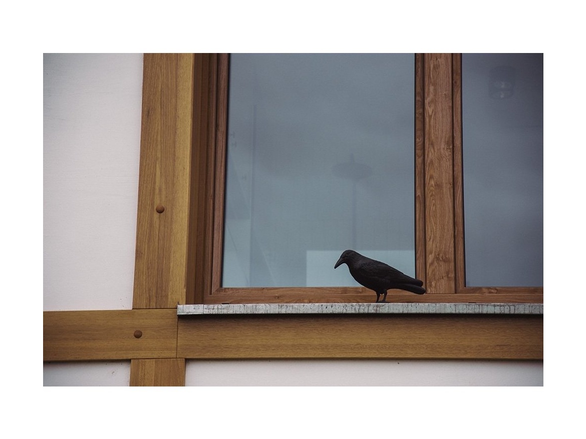 Bradas Plašič ptáků stojací - havran CTRL-BR101