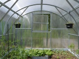 Üvegház Lanit Plast Tiberus