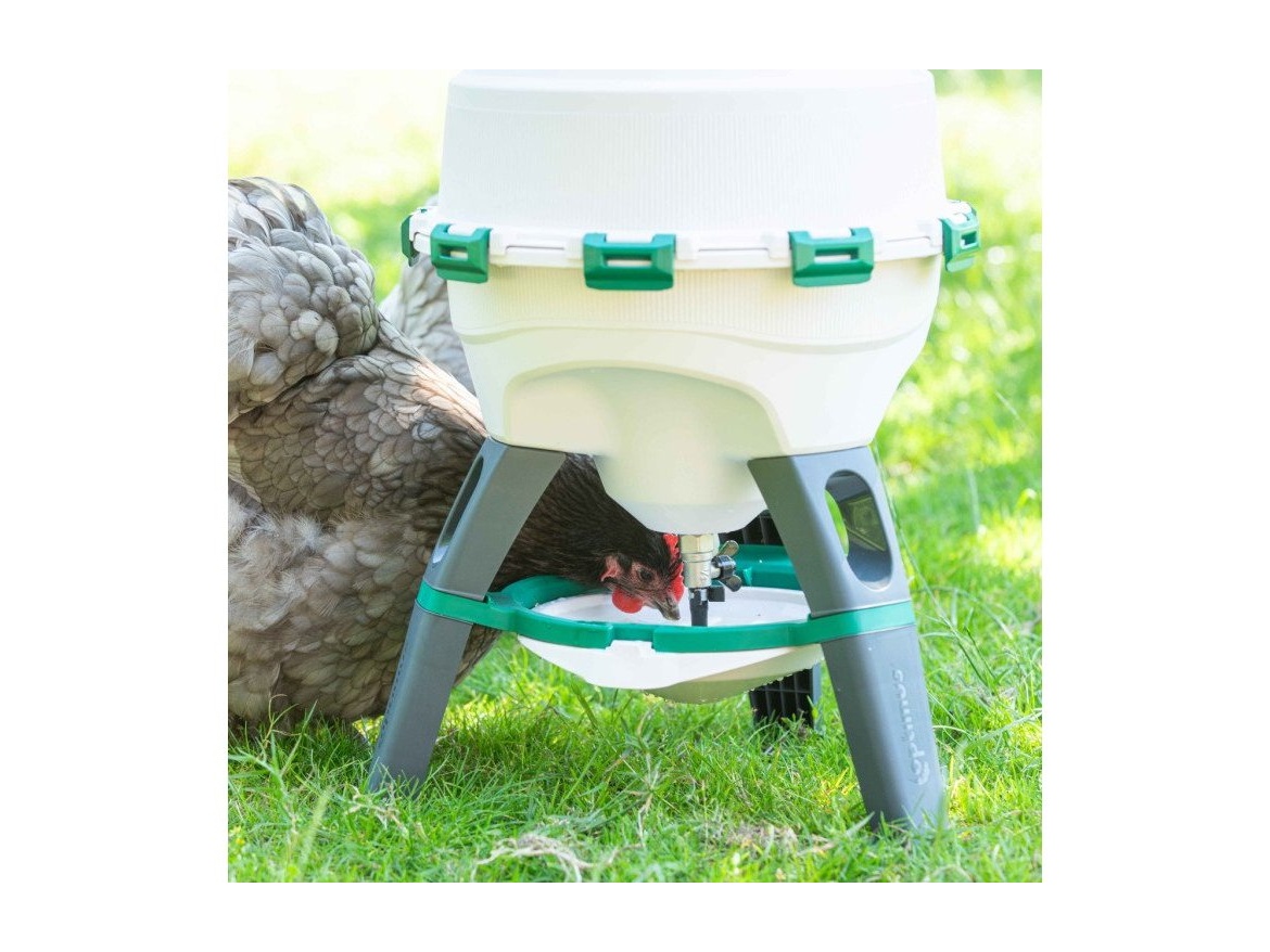 Scobax Sifonová napáječka pro drůbež OPTIMUS, 25 L