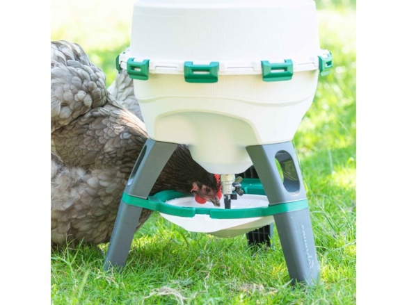 Scobax Sifonová napáječka pro drůbež OPTIMUS, 25 L