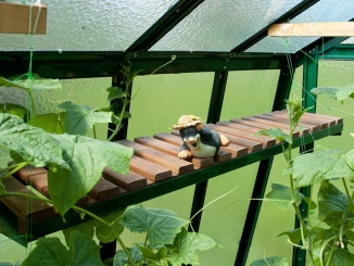 Üveg –  Limes Výplň Primus s dřevěným roštem Limes police