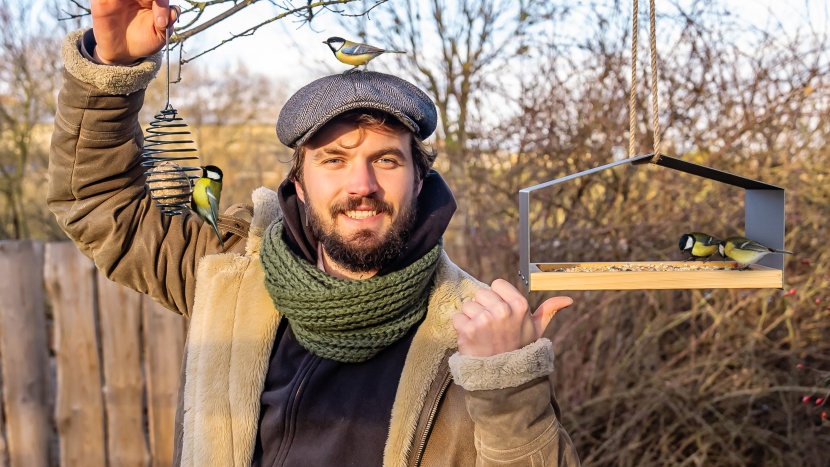 Minden a madáretetésről