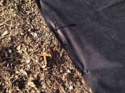 Bradas Plastové kolíky pro agrotextílie 15cm /100ks