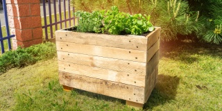 Hogyan készítsünk emelt ágyást