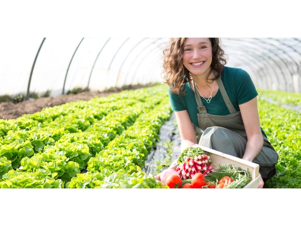 Ako vybrať Top skleník? Alebo keď sa rozpíše odborník