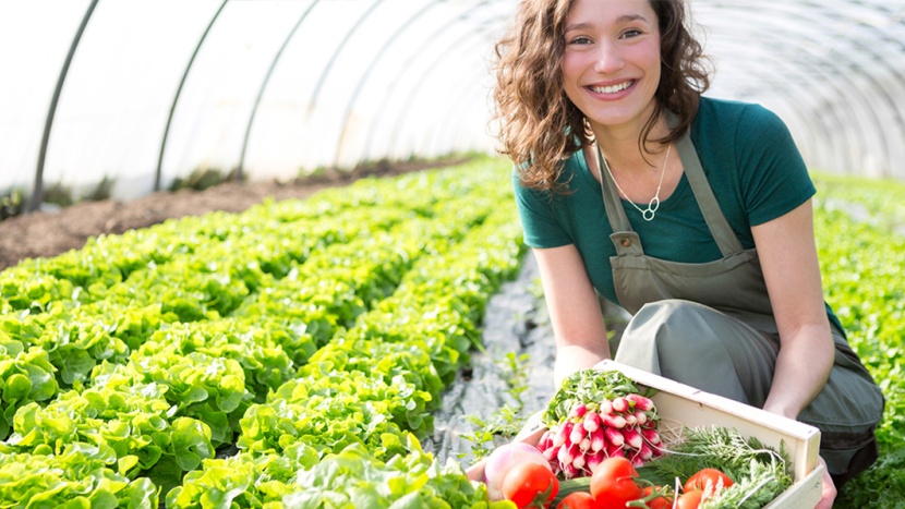Ako vybrať Top skleník?