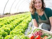 Hogyan válasszunk Top üvegházat? Vagy amikor egy szakértő jelentkezik