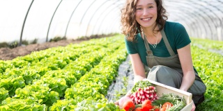 Jak vybrat Top skleník? Aneb když se rozepíše odborník