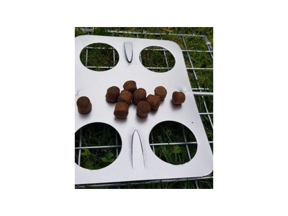 Scobax Past na potkany a krysy TRAP ZL35x17x20