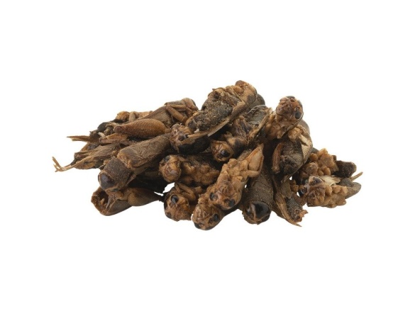 Scobax Cvrček 0,5l (80g)