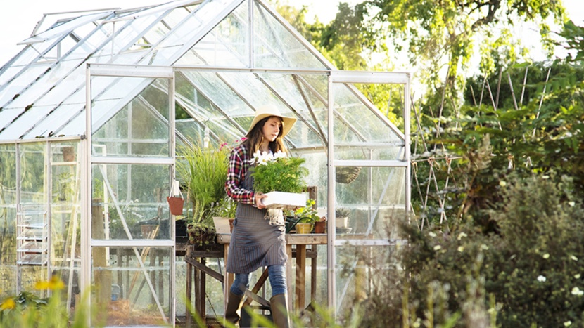 Az üvegház tíz előnye – 1. rész