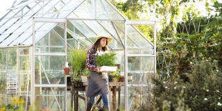 Desatoro výhod skleníka - 1. diel