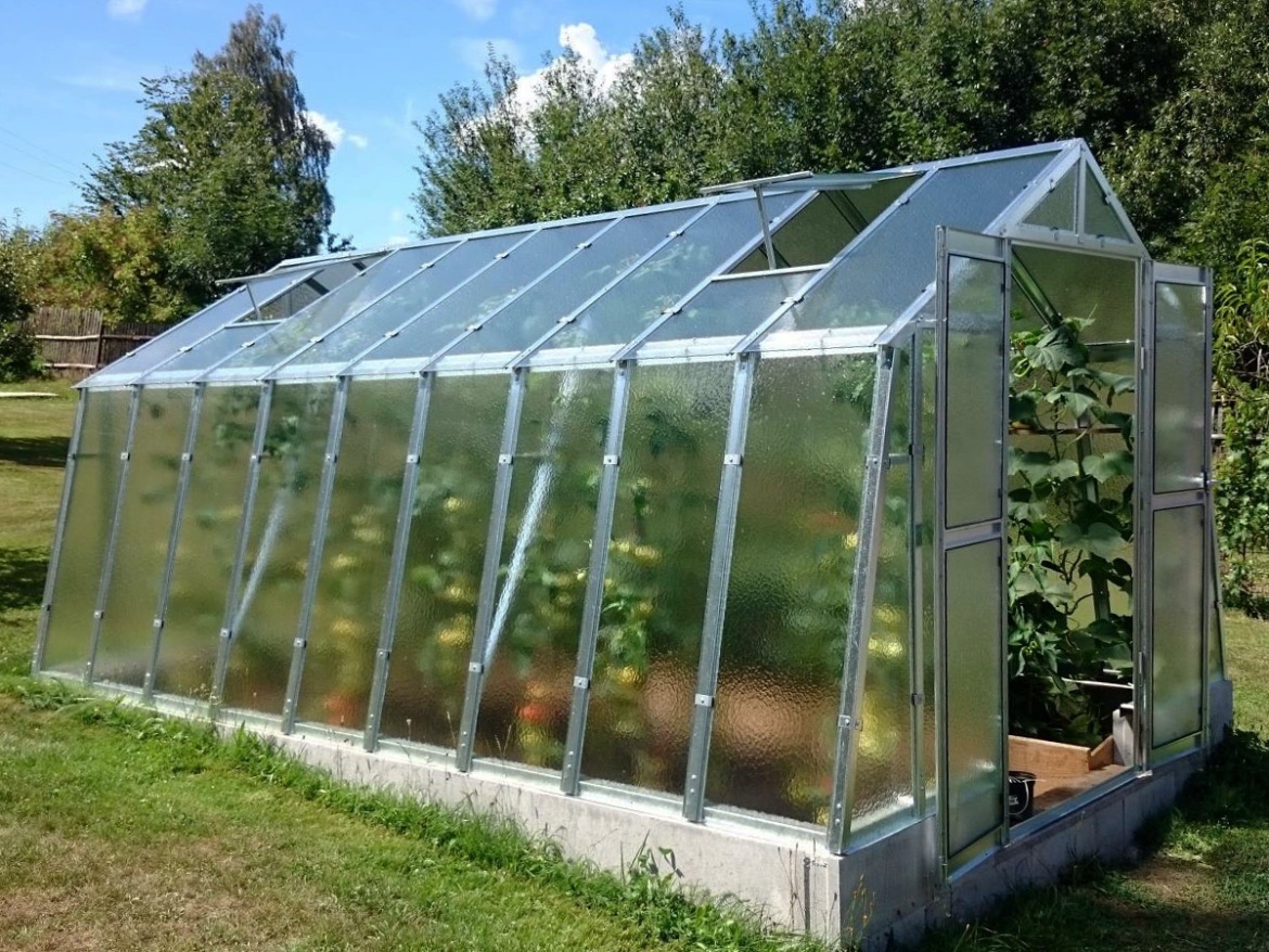 Skleník Limes Variant