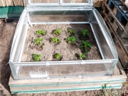 Parenisko Gutta Gardentec Classic