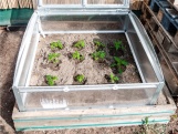 Pařeniště Gutta Gardentec Classic