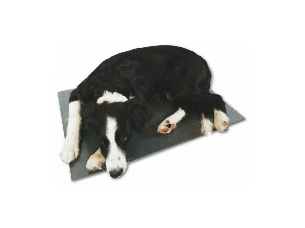 Scobax THERMODOG výhřevná deska pro psy, podlážka plast, 40 x 60 cm, 12 V / 20 W, napájení z autozástrčky