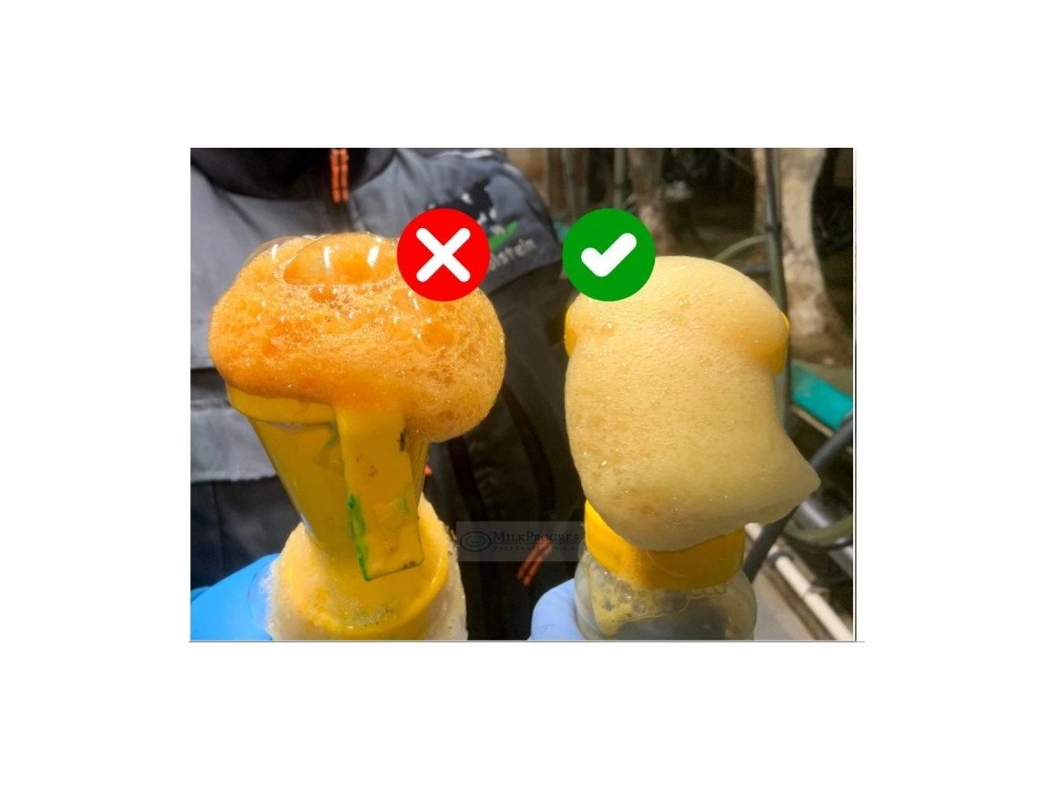 Scobax Dip aplikátor zpěňovací