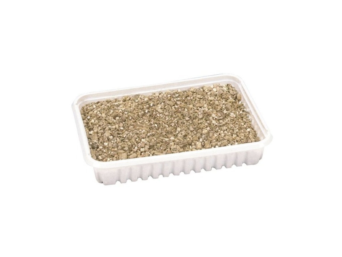 Scobax Kočičí tráva v misce 100 g