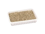 Scobax Kočičí tráva v misce 100 g