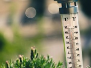 Řešení proti vedru pod pergolou: test