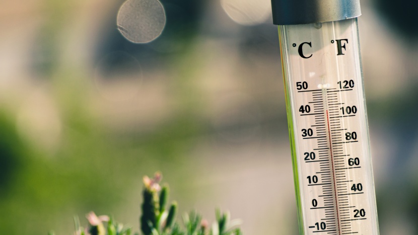 Řešení proti vedru pod pergolou: test