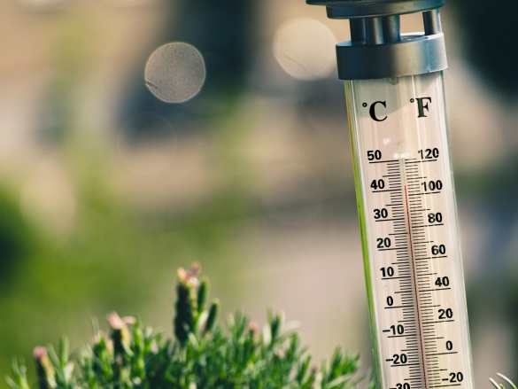 Riešenie proti horúčave pod pergolou: test