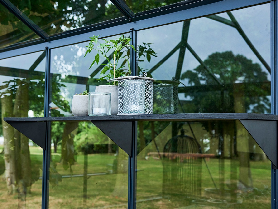 Juliana Konzoly na police