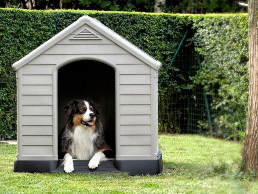 Curver Psí bouda Dog House