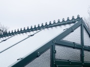 Ozdobná hrebeňovka Limes Primus hřebenovka B