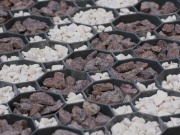 Zatravňovací tvárnice Fastrade Traway T160