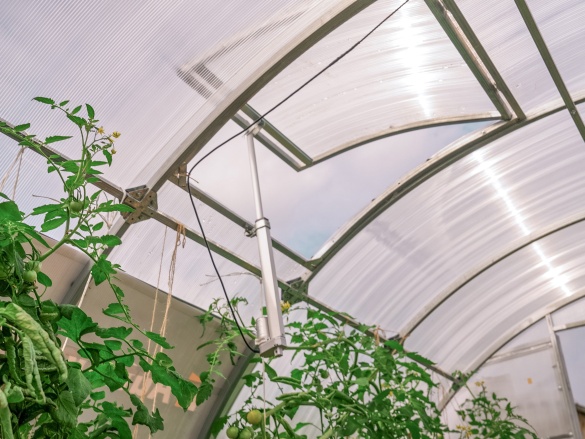 Autonóm üvegházunk egy hortibotanikus napon