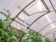 Náš autonomní skleník na hortibotickém dni